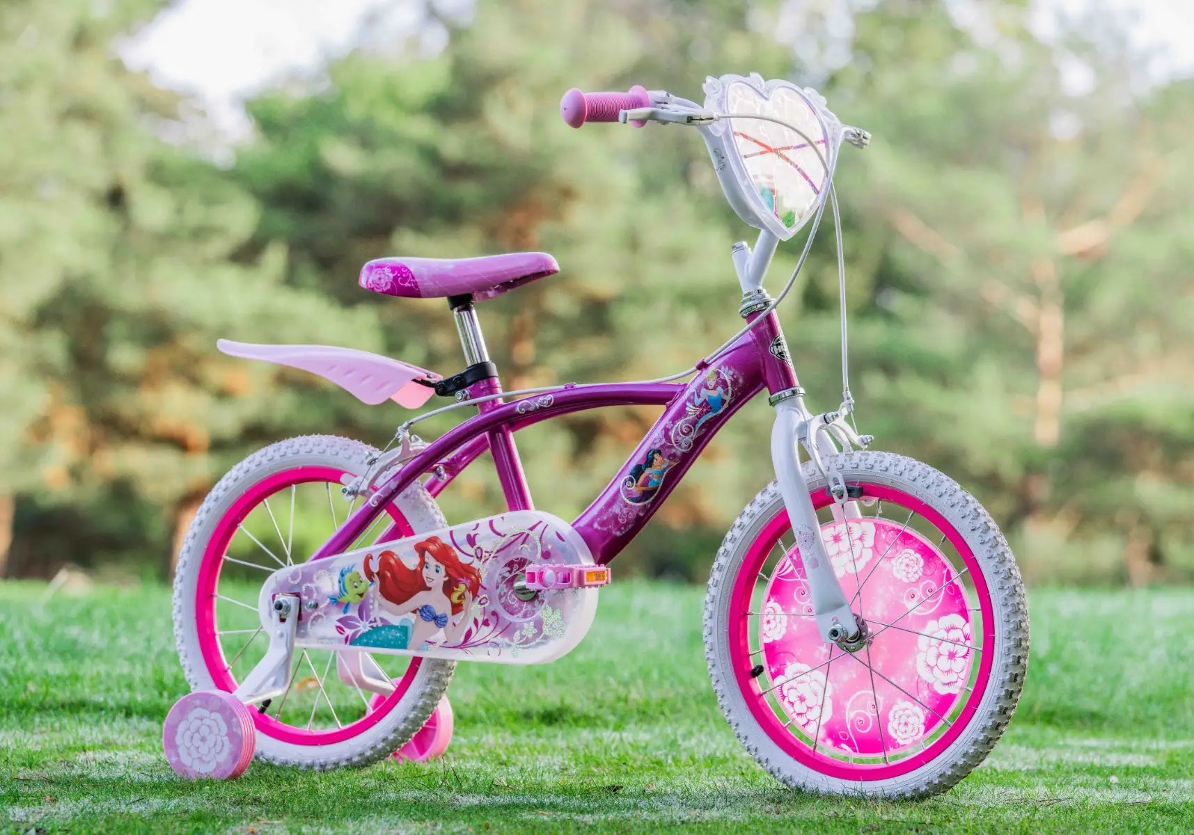 Princess bike with training wheels clearance
