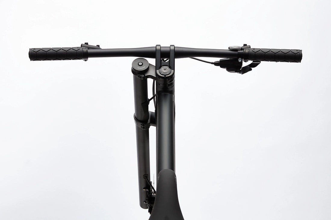 Cannondale Bad Boy 1 Urban Bike - Matte Black