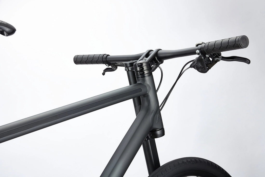 Cannondale Bad Boy 1 Urban Bike - Matte Black