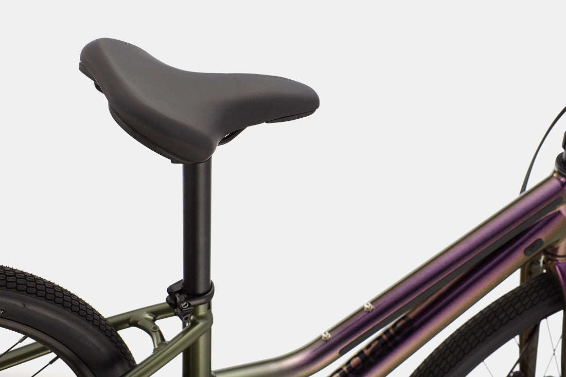 Cannondale Treadwell 3 Remixte LTD Urban Bike - Rainbow Trout