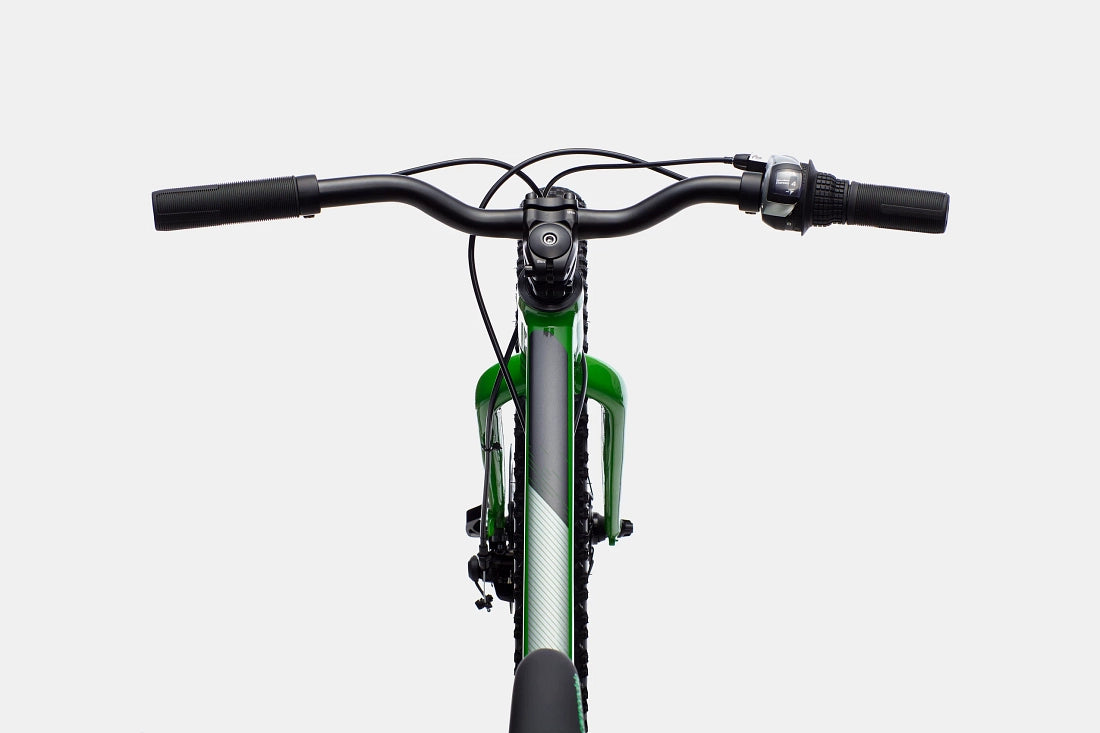 Cannondale Kids Cujo 24+ Mountain Bike - Green