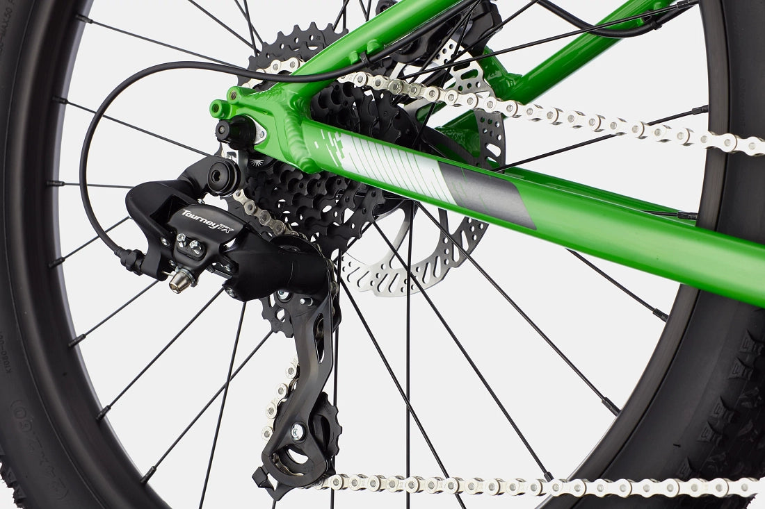 Cannondale Kids Cujo 24+ Mountain Bike - Green