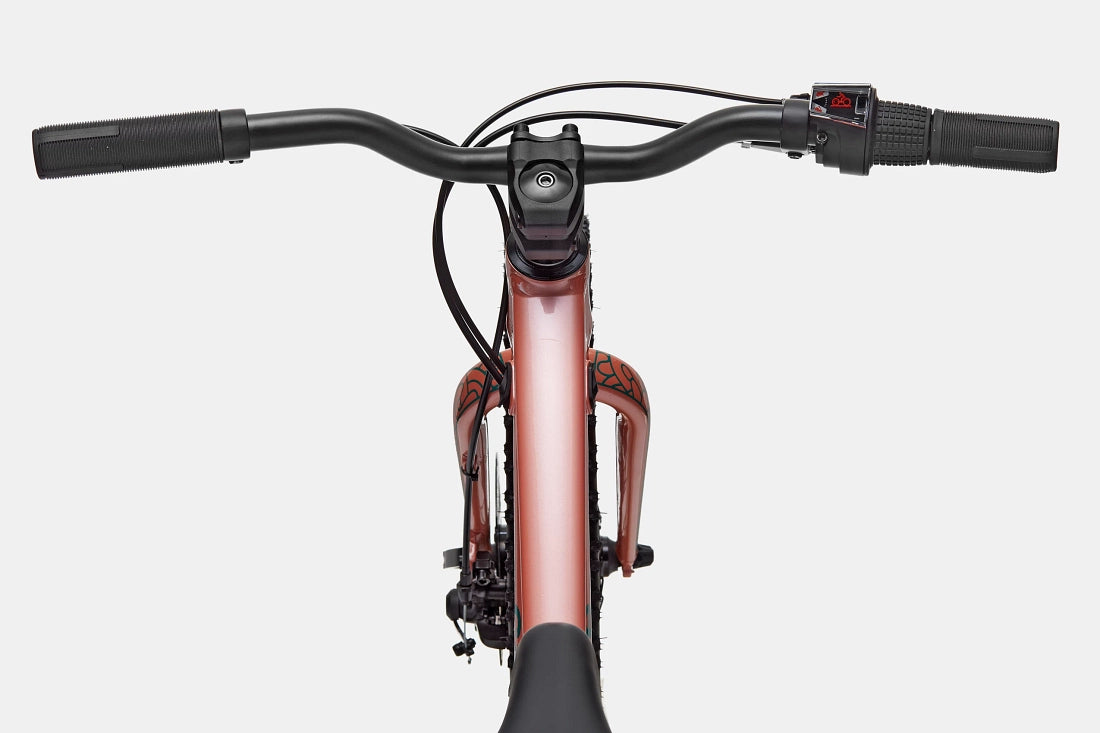Cannondale Kids Trail Plus 20" Mountain Bike - Salmon