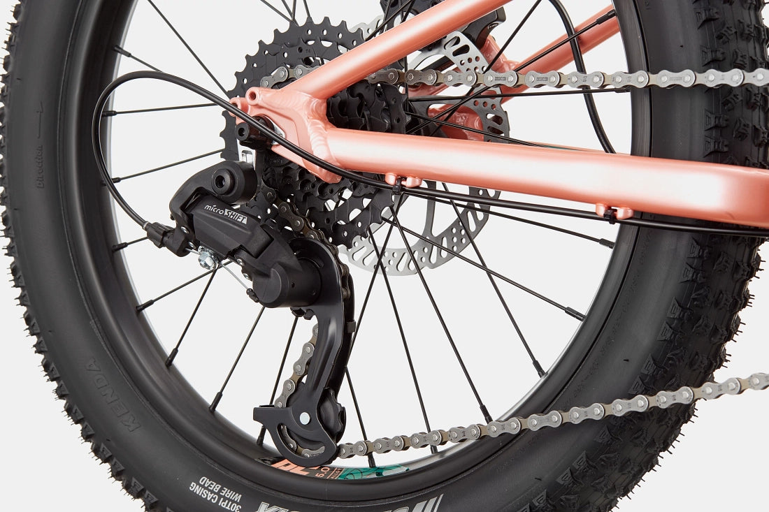 Cannondale Kids Trail Plus 20" Mountain Bike - Salmon