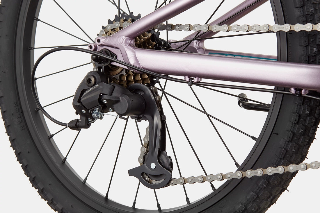 Cannondale Kids Trail 20" Mountain Bike - Lavender