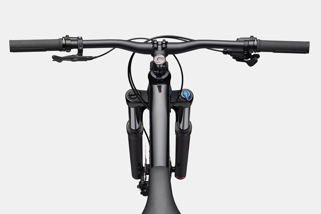Cannondale Habit HT 3 Trail Bike - Black Pearl