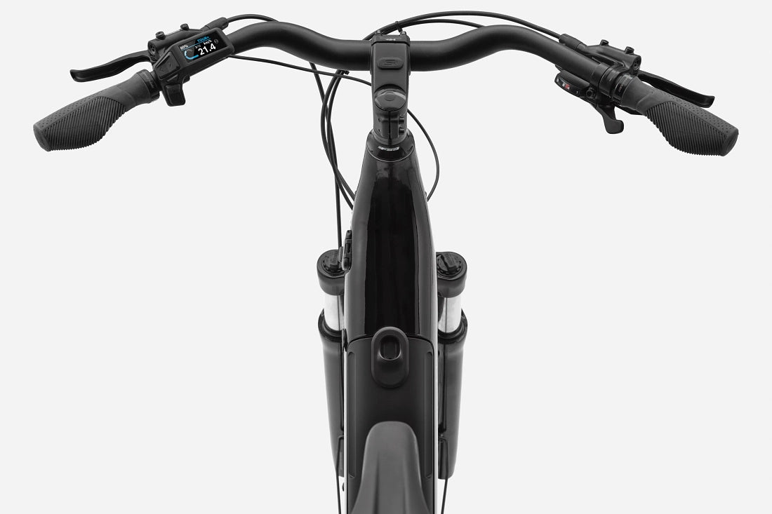 Cannondale Tesoro Neo X 3 Low Step-Thru Hybrid Bike - Sage