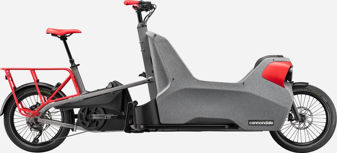 Carbon cargo hot sale bike