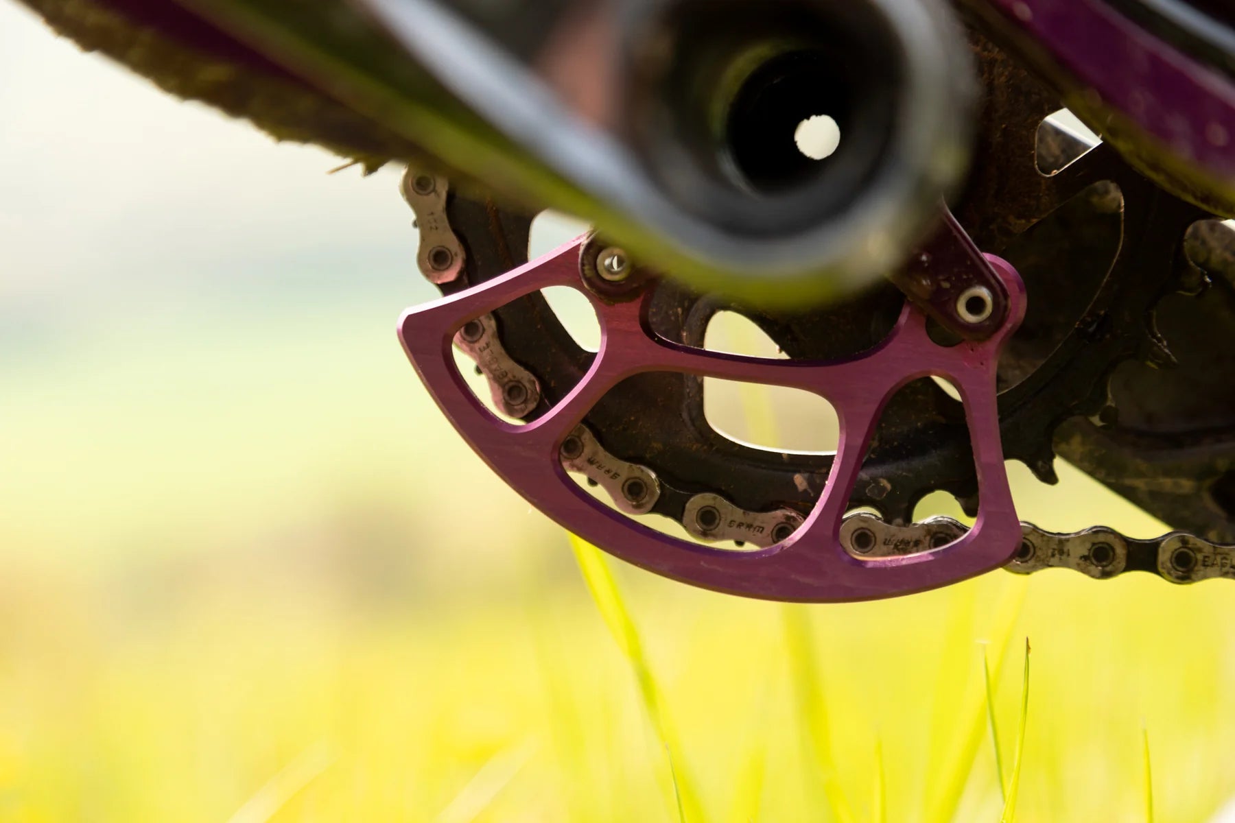 Oak Components Grown Bashguard